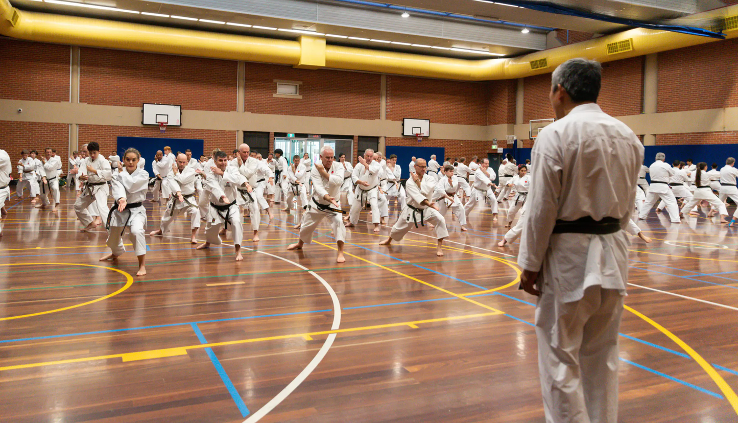 JKA Seminar: March 5th-8th, 2026 (Adults)